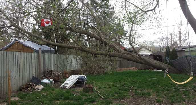 Ontario Wind Storm